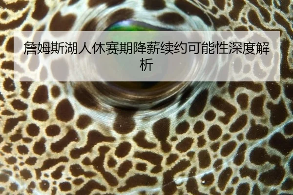 詹姆斯湖人休赛期降薪续约可能性深度解析